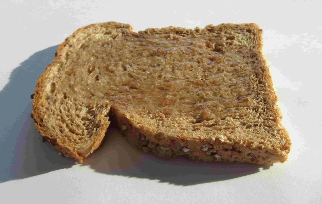 Slice of toasted brown bread for the oil depositing application